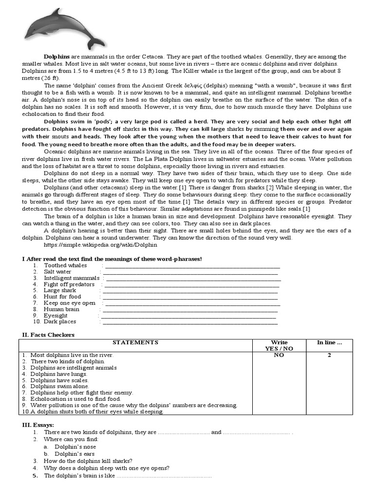 Soal Text Report Dolphin Cetacea