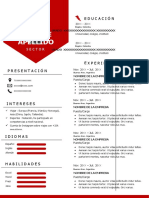 86 Curriculum Vitae Llamativo