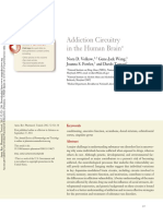 Addiction Circuitry in The Human Brain PDF