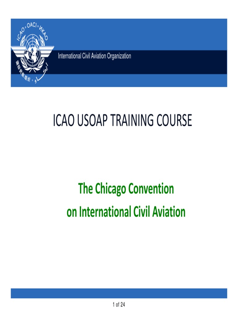 Chicago Convention Overview | PDF | Government | Justice