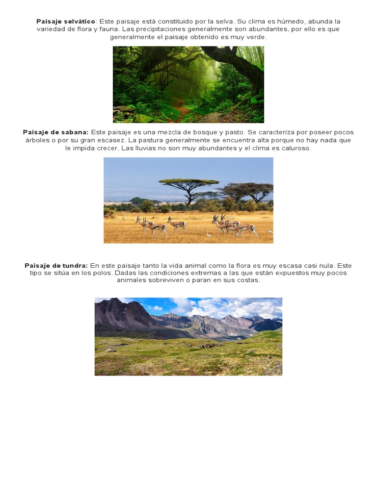 Climas y paisajes del mundo | PDF | Clima templado | Clima