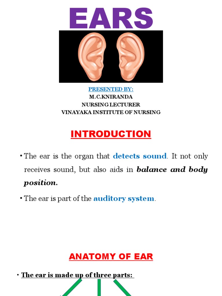 Anatomy and Functions of the Ear | PDF | Ear | Hearing
