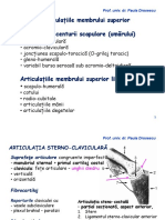 articulatiilemembruluisuperior-180109084532 (1).pdf