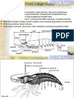 Crustacea (Entomostraca)