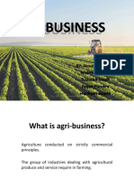 AGRI BUSINESS NK.pptx