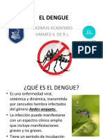 Dengue: causas, síntomas y prevención