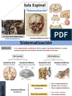 Neuroanatomiasistematizacio N