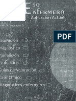 Procesos Enfermeros Pae PDF