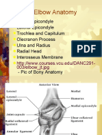 Chapter 19 - Elbow -  Class Copy.ppt