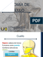 Anatomía del cuello