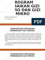 1711223012 - Ghina Mardiyati - program perbaikan gizi makro dan gizi mikro