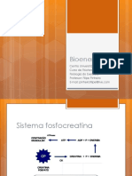 Aula+03+-+Bioenerg%c3%a9tica PDF