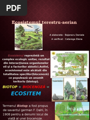 Exemple De Ecosisteme Din Romania  doniemas