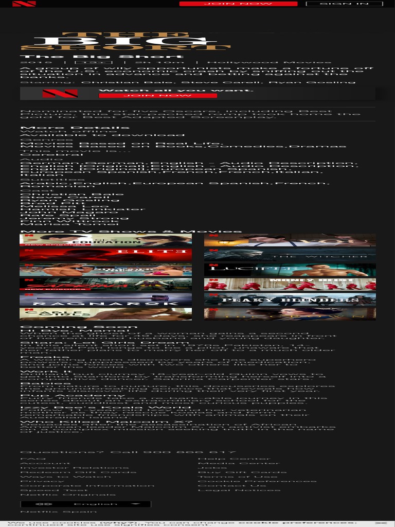 The big short netflix pdf pdf