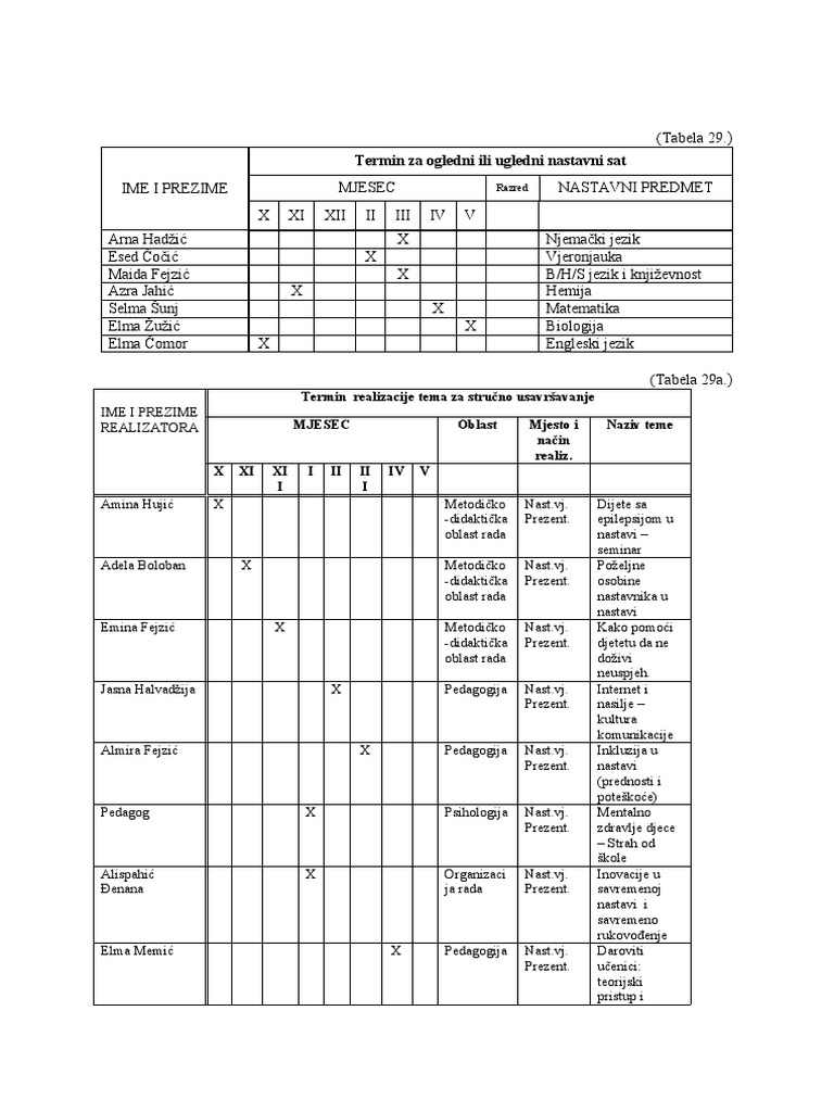 Plan Pedagoga | PDF