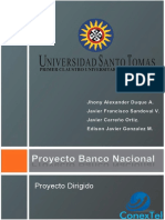 Proyecto Banco Nacional PDF