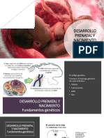 Desarrollo Prenatal y Nacimiento