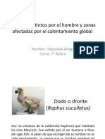 Animales Extintos Por El Hombre y Zonas Afectadas