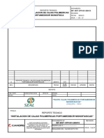 Informe - Piloto Cajas Polimericas Portamedidor Monofasicas - Seal PDF