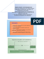 Metabolismo Intermedio