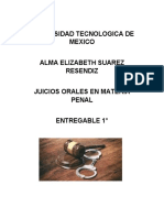 Caso Materia Penal