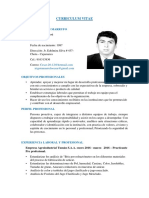 Curriculum Vitae Cesar Cajamarca PDF