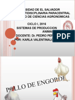 Polloengorde 160701165120