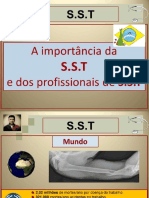 Importância da SST - NE.pdf