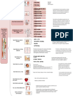 Cuadro Sinoptico TRANSTORNOS Y AFECCIONES EN LOS SITEMAS DEL CUERPO HUMANO
