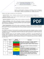 Classificação Dos Riscos Ambientais PDF