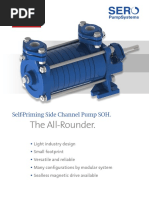 Sterling SIHI Side Channel Pumps Overview | PDF | Pump | Mechanical ...