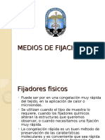 06medios de Fijacion