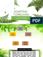 Adaptasi Tumbuhan