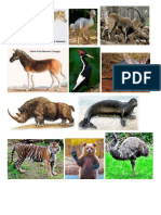 animales extintos.docx