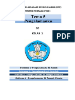 RPP Pjok Kelas 2 Tema 5