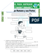 Ficha-de-El-Cuerpo-Humano-y-sus-Partes-para-Tercero-de-Primaria.doc