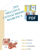 Diabetes Mellitus Pedia 2010