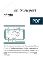Electron Transport Chain - Wikipedia