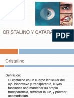 7-cristalinoycatarata-120608191038-phpapp02.pdf