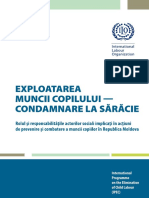 Brochure Role Responsibilities Social Actors Moldavian PDF