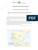F.I. - Abastecimento de Gás Natural A Portugal