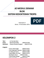 Demam Blok Sistem Kedokteran Tropis