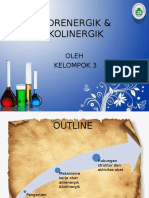Adrenergik & Kolinergik PPT Kimfar
