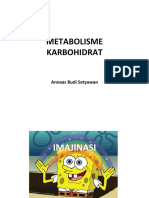 Metabolisme Karbohidrat