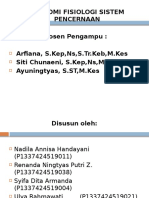 Anfis Sistem Pencernaan 2.1