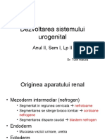 genito-urinar.ppt