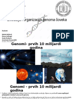 Evolucija I Organizacija Genoma Čoveka Maja