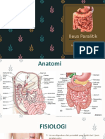 IZZATI Referat Ileus Paralitik FIXXX