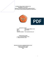 Dian Dwi I. D1A018064 (LAPRAK 02) - PDF