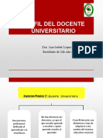 Perfil Del Docente Universitario